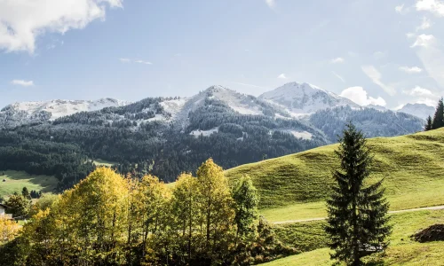 Herbst Rohrweg _ Kleinwalsertal Tourismus (c) Kleinwalsertal Tourismus - Kleinwalsertal Tourismus eGen