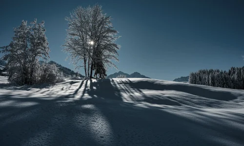 Panorama Kleinwalsertal _ Robert Niederwolfsgruber (c) Robert Niederwolfsgruber - Kleinwalsertal Tourismus eGen (6)