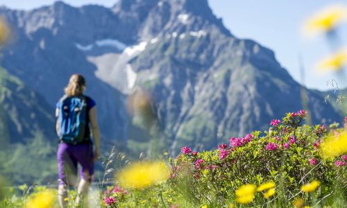 bergfruehling