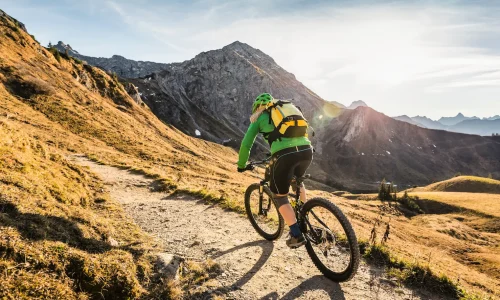 cyclist-on-mountain-biking-area-kleinwalsertal-t-2024-10-18-09-08-30-utc