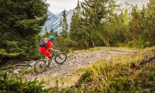 mountain-biker-navigating-a-rugged-trail-amidst-sc-2025-04-04-07-59-22-utc
